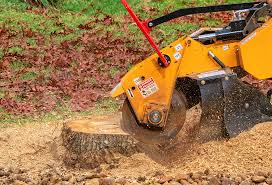 Best Weed Control  in Durand, WI
