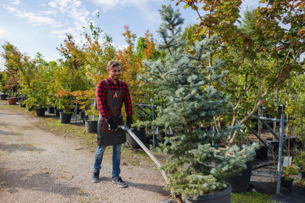 Best Lawn Irrigation Installation and Maintenance  in Durand, WI